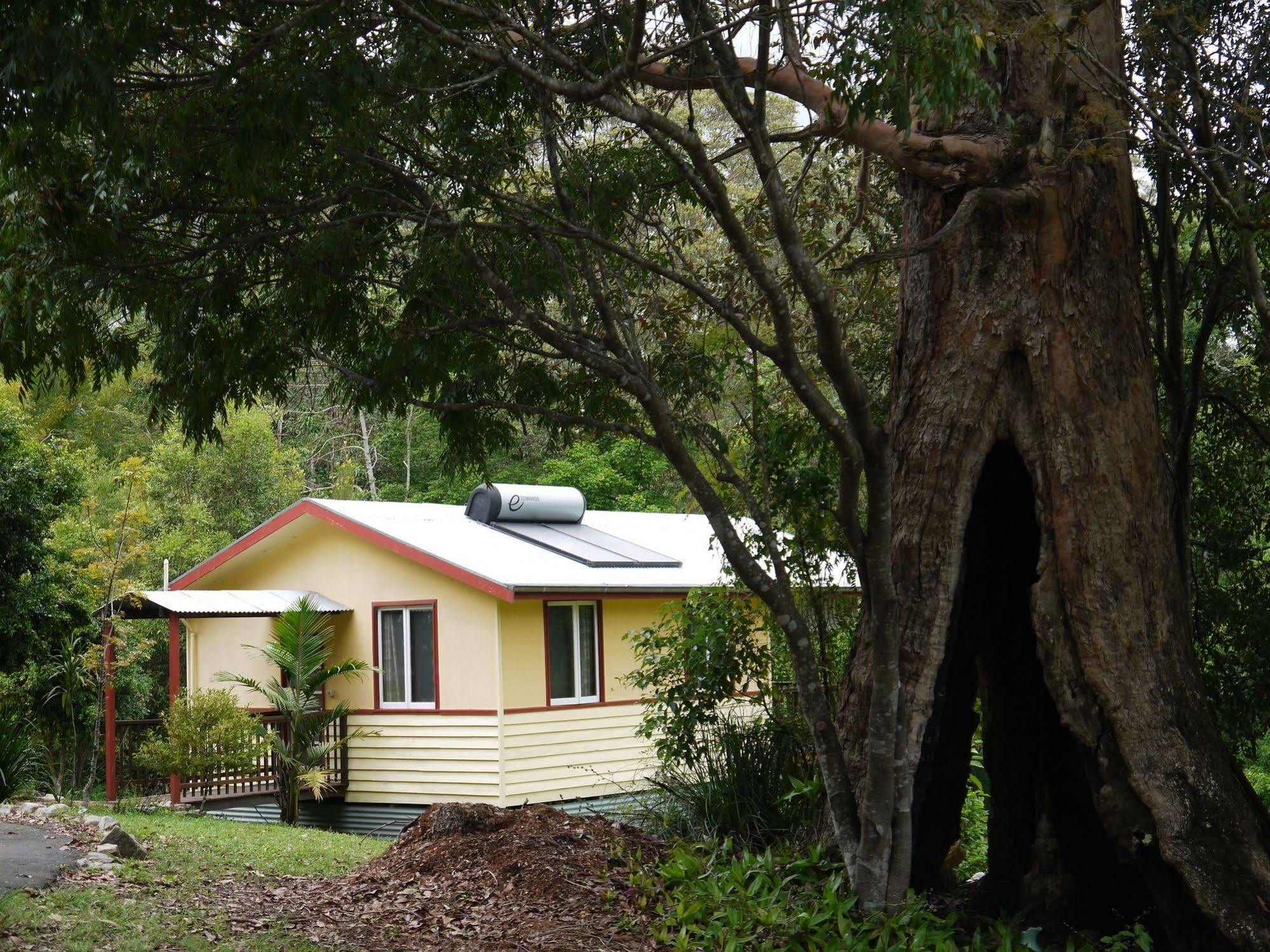 Willa Teretre Cabins Nimbin Zewnętrze zdjęcie